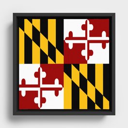 Maryland flag Framed Canvas