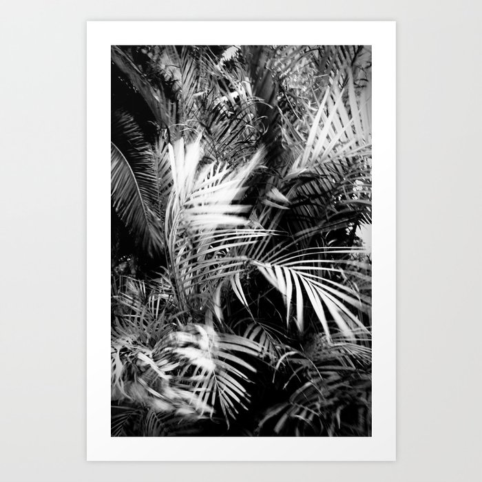 wild palm tree Art Print
