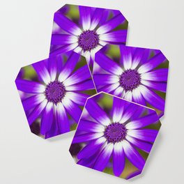 Macro Flora Coaster | Macro, Purple, Petals, Magenta, Flowers, Color, Floral, Pretty, Flora, Digital 