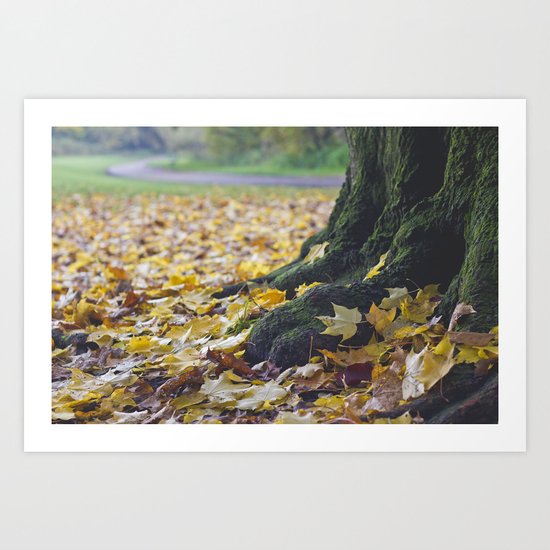 Origins Art Print