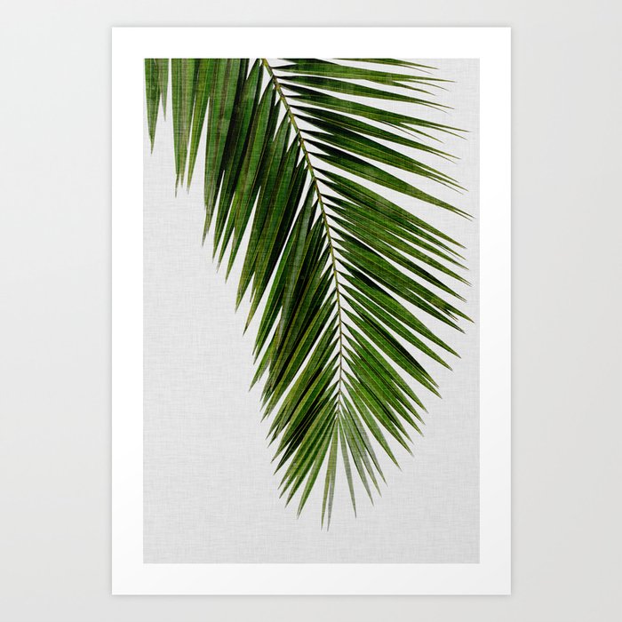 Palm Leaf I Kunstdrucke