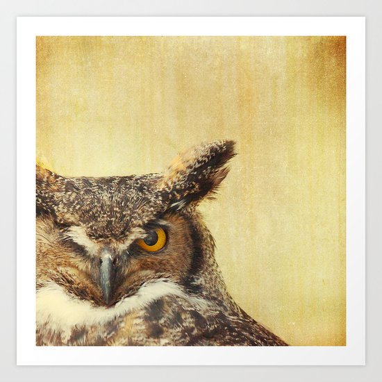 Hoo Hoo Art Print