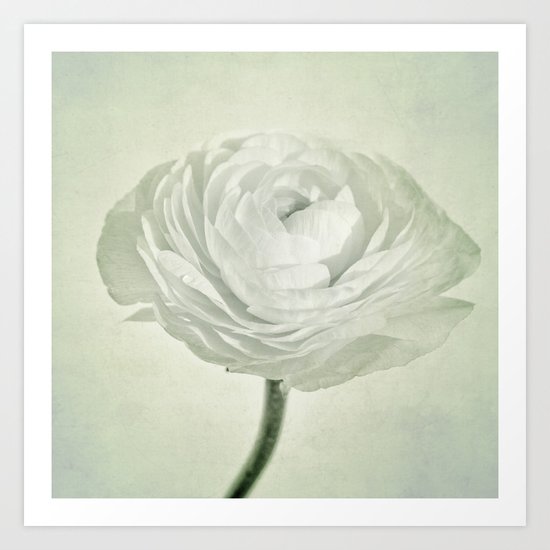whity Art Print