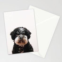 Buster Stationery Card