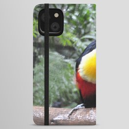 Brazil Photography - Colorful Toucan Sitting On A Branch In The Jungle iPhone Wallet Case