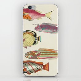 fish iPhone Skin