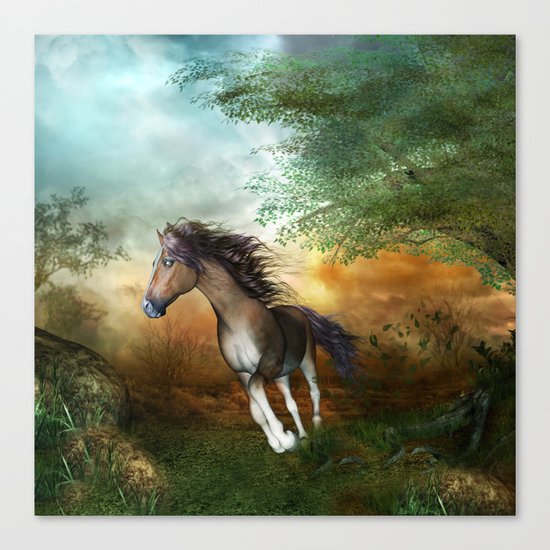 Beautiful brown horse Canvas Print