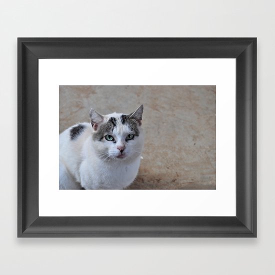 kitty kitty Framed Art Print
