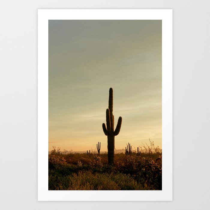 Arizona Sunrise Art Print