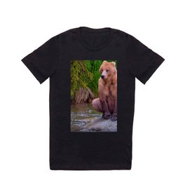 Hi Bear T Shirt