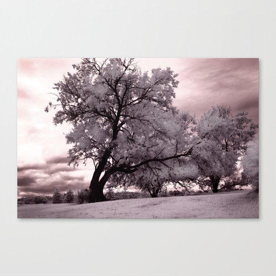 Standing Strong Canvas Print