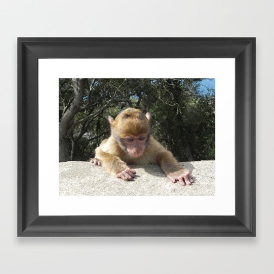 Monkey Framed Art Print