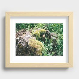 Green life Recessed Framed Print