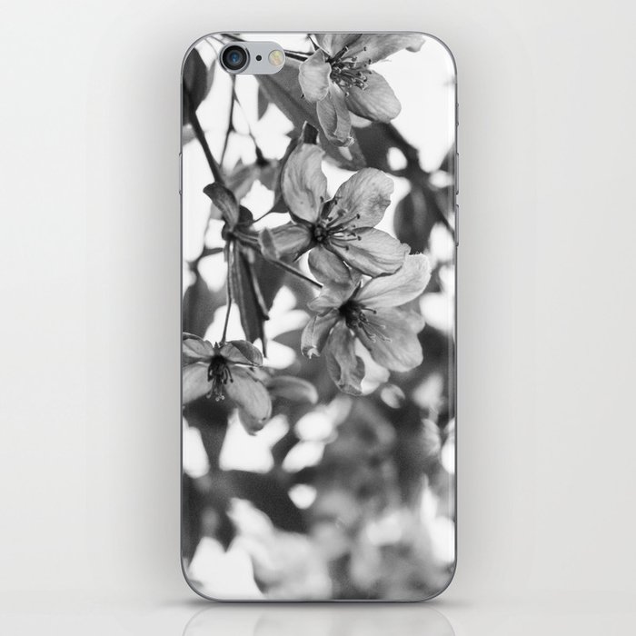 Nature's Glass iPhone Skin
