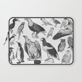 Birds of wildlife set. Eagles, owls, parrots, pelican, penguins, ibis, puffin isolated on white background. Tropical, exotic, water birds. Black white illustration. Vintage. Vintage. Realistic graphics Laptop Sleeve
