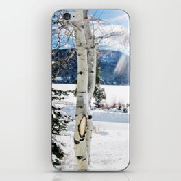 White Birch Tree in Snow iPhone Skin