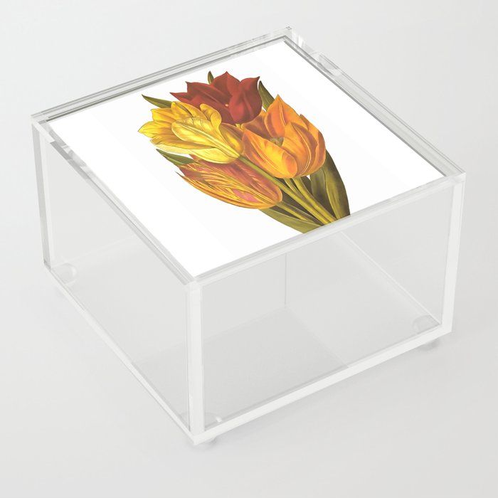 Cut Tulips Still Life Art Acrylic Box