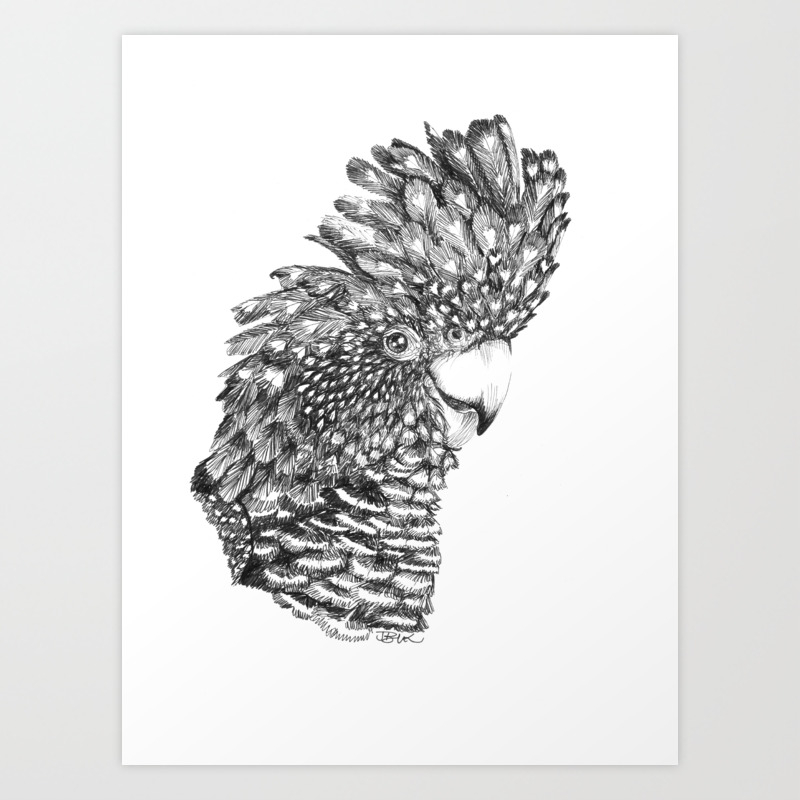 Black Cockatoo Art Print Poster Block Black Cockatoo Bird Mono MOUNTED CANVAS 