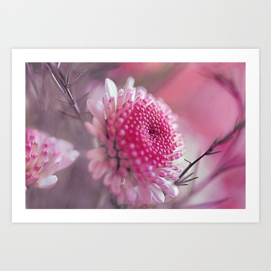 Romantic flower. Art Print