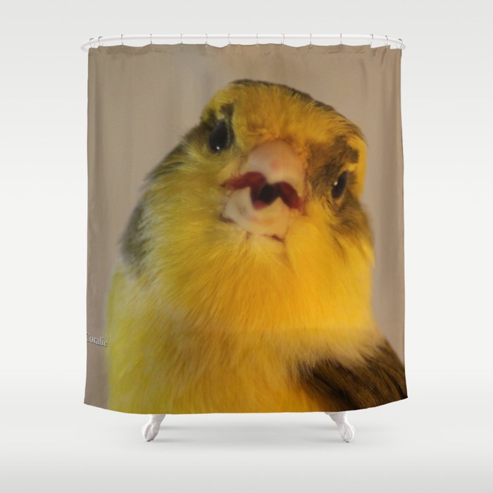 Singing Canary Shower Curtain