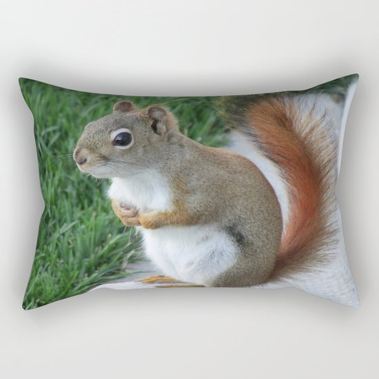 Red Squirrel Rectangular Pillow