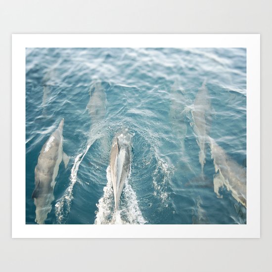 Dolphins Come Play Art Print