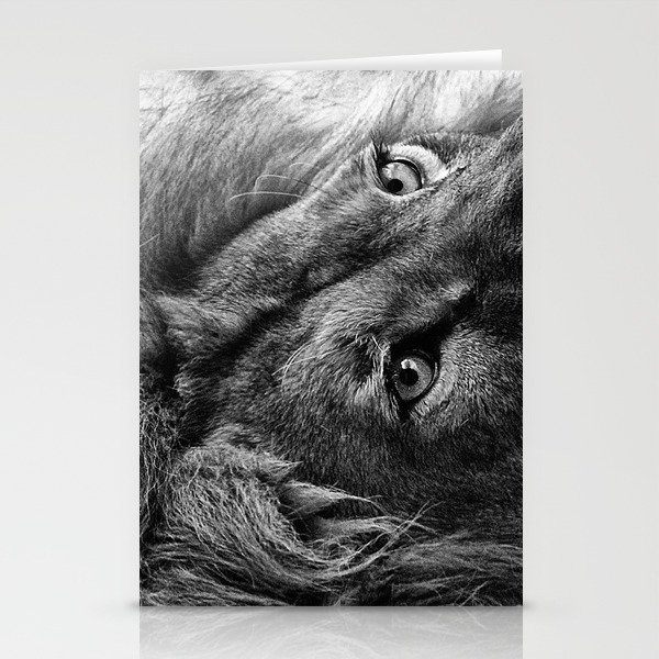 Themba the Lion (Black and White Version) Stationery Cards