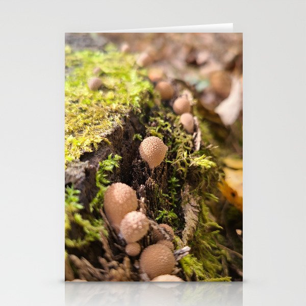 Mushroom Family Stationery Cards