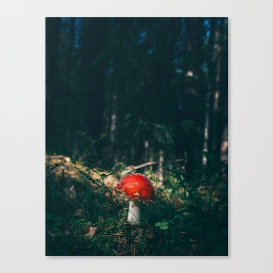 Little Red Mushroom in the Forest Canvas Print