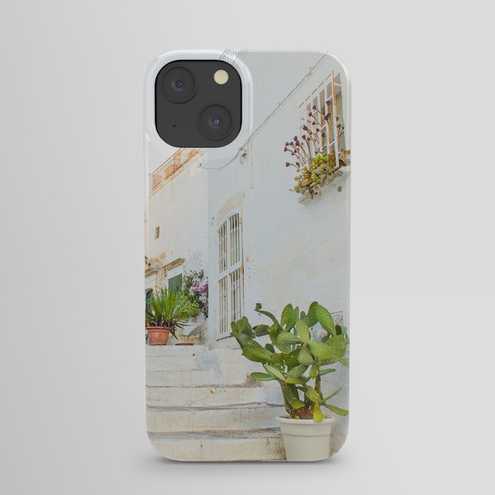 Cacti iPhone Case