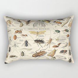 Insect Vintage Science Chart Rectangular Pillow