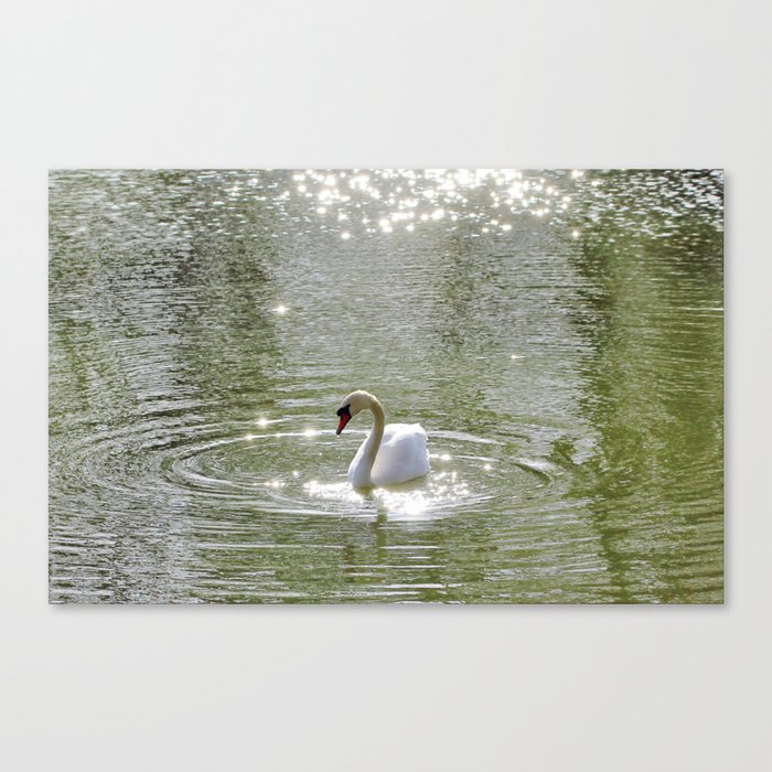 Sparkly Swan Lake Canvas Print