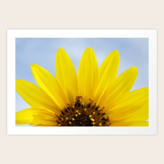 Bright Art Print