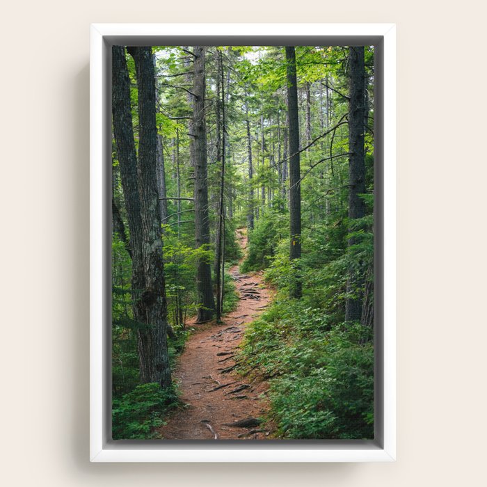 Framed Canvas