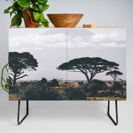 South Africa Photography - Acacia Tree On The Dry Savannah Credenza