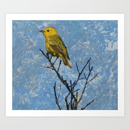 Watchful eye Art Print