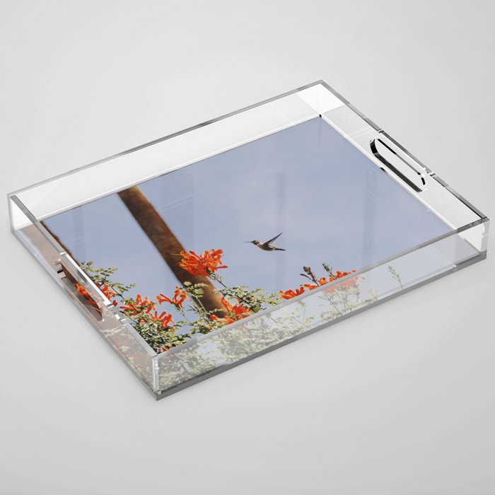 Hummingbird / Palm Springs Acrylic Tray