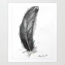 Immature Bald Eagle Feather Art Print