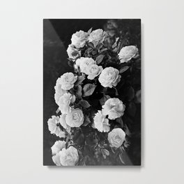 Black And White Roses Metal Print