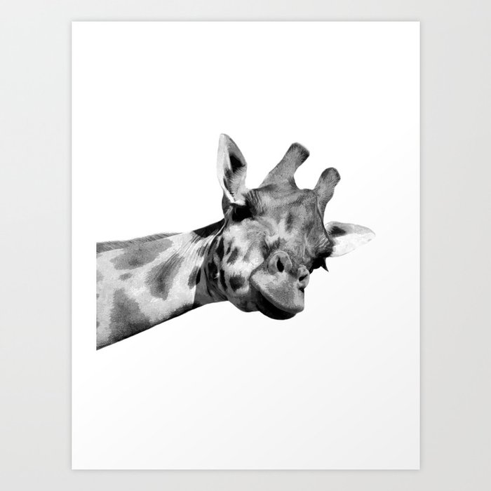 Black and white giraffe Kunstdrucke