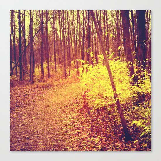 The Golden Hour Canvas Print