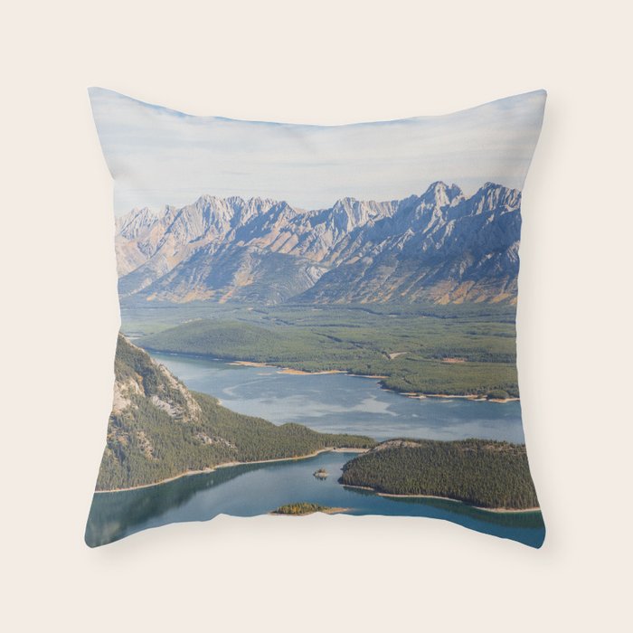Throw Pillow