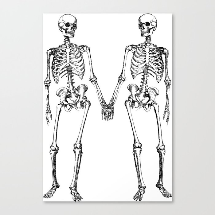 Two skeletons Canvas Print
