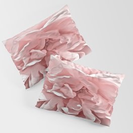 Pink Blush Rose Pillow Sham