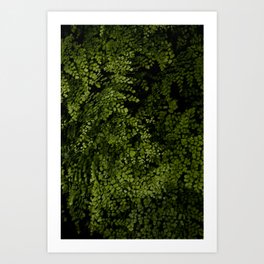 Small leaves Art Print