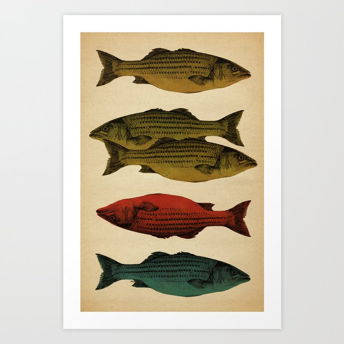 One fish Two fish... Art Print