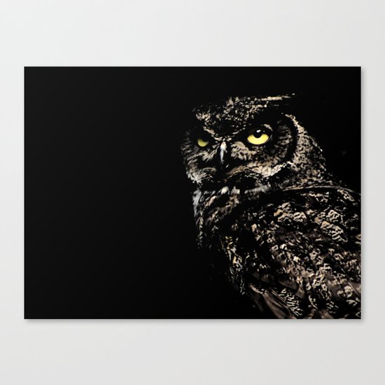 Owl Canvas Print