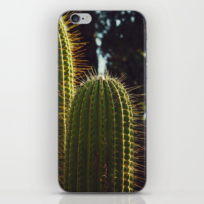 Mediterranean Cactus Photo | Plants in Capri Italy Art Print | Nature Travel Photography iPhone Skin
