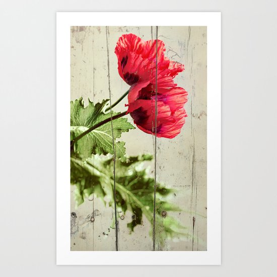 The Things We Remember - red poppy photo on wood texture Art Print