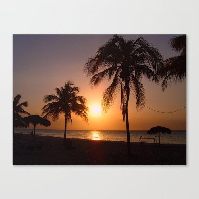Palm trees at sunset Canvas Print